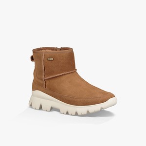 Ugg Palomar Alla Väderstövlar Dam Bruna (789160UTF)